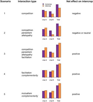 Breeding Beyond Monoculture: Putting the “Intercrop” Into Crops